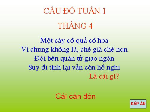 Câu đố 2