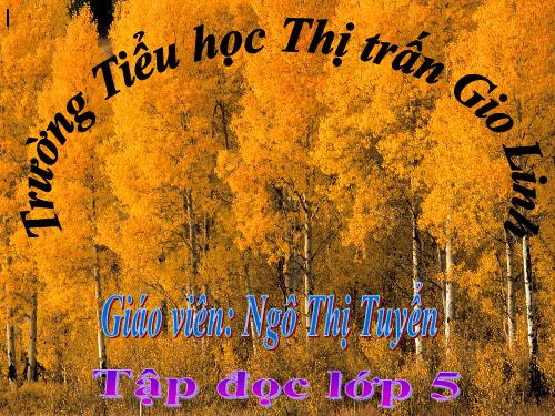 Tuần 8. Kì diệu rừng xanh