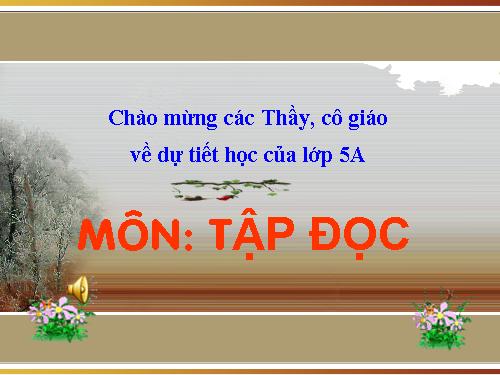 Tuần 12. Hành trình của bầy ong