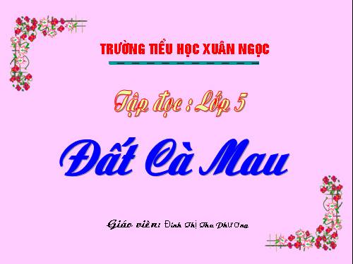 Tuần 9. Đất Cà Mau