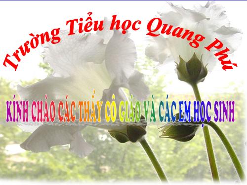 Tuần 8. Kì diệu rừng xanh