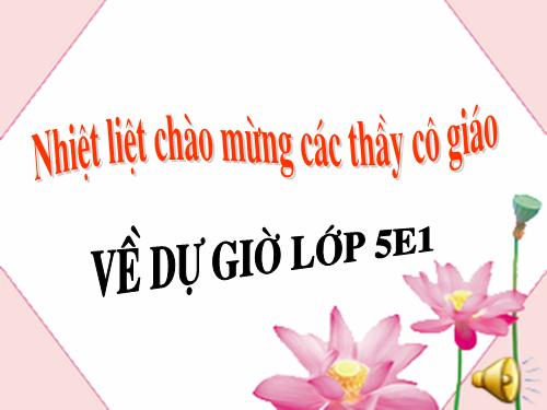 Tuần 9. Đất Cà Mau