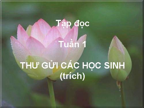 Tuần 1. Thư gửi các học sinh