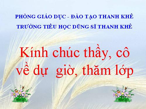 Tuần 30. Thuần phục sư tử