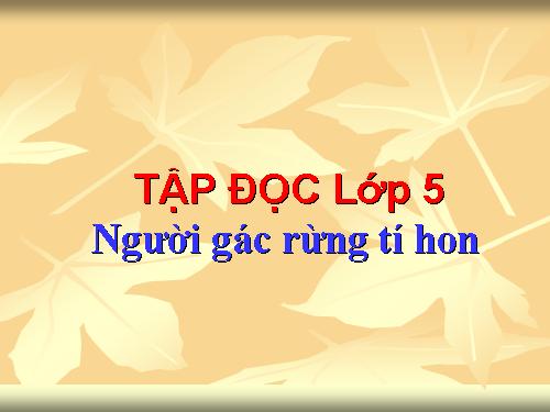 Tuần 13. Người gác rừng tí hon