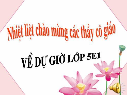 Tuần 9. Đất Cà Mau