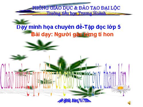 Tuần 13. Người gác rừng tí hon