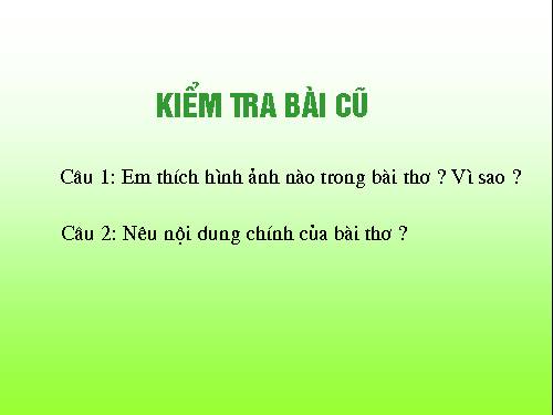 Tuần 8. Kì diệu rừng xanh