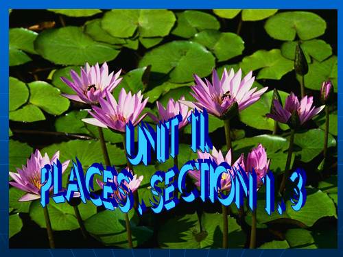 Unit 11. Places of interest