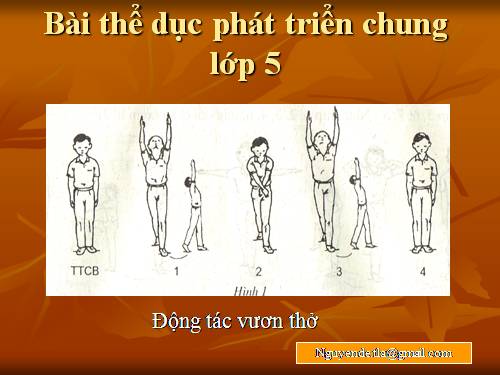hinh the duc 5 tham khao