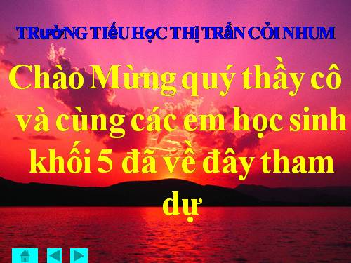 khoa học rung chuông vàng lớp 5