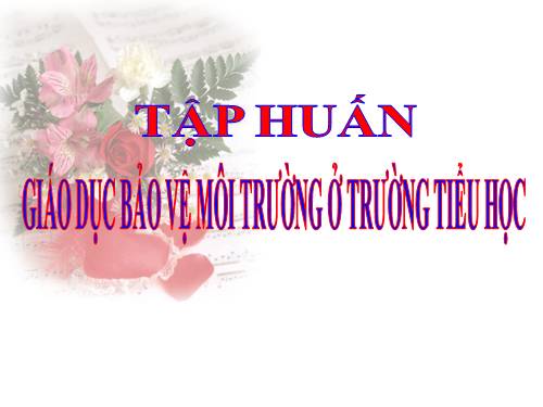 Tap huan bao ve moi truong cap Tieu hoc