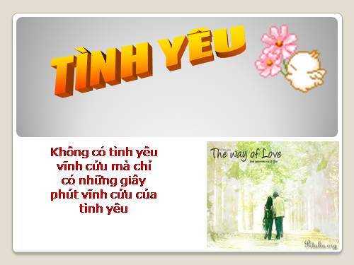 tinh yeu