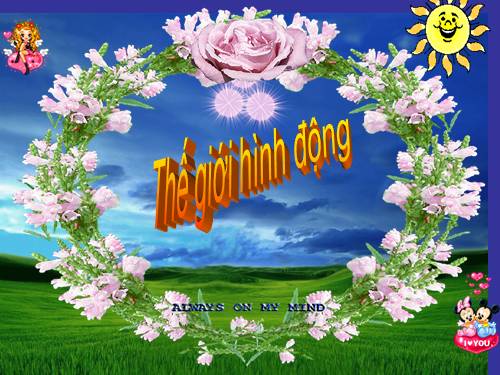 bộ sưu tập kho hình động tuyệt đẹp