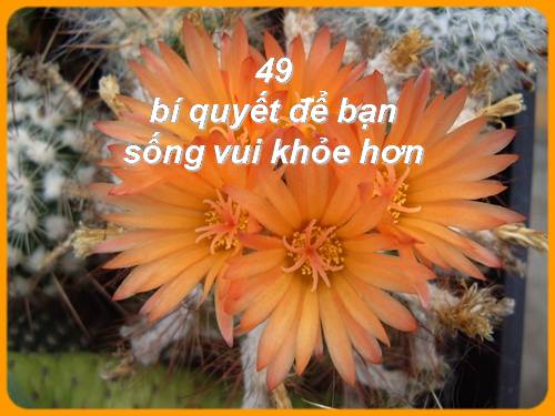 BÍ QUYẾT SỐNG