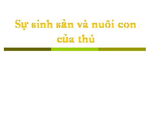 Sự sinh sản của mèo