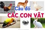 200 CÂU ĐỐ CÁC CON VẬT?