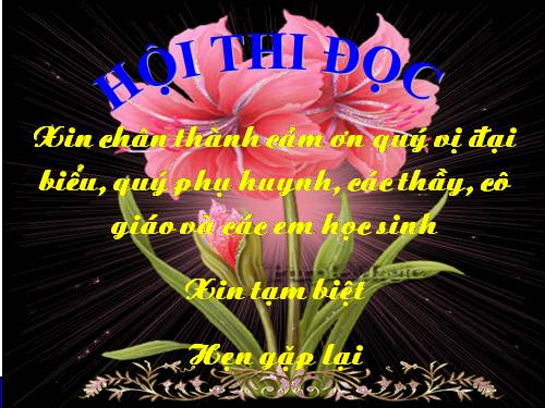 hoat dong ngoai gio len lop 5  - Rung chuông vàng đọc sách  Room to read