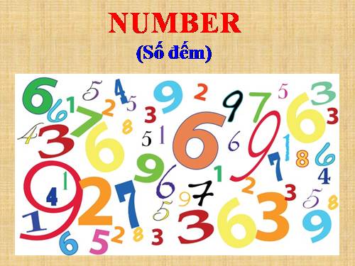 numbers for kids