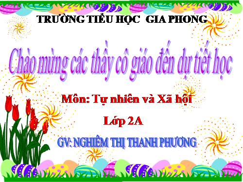 lop 2 tnxh luong phat trienam gi de co va x