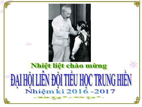 Đại hội liên đội