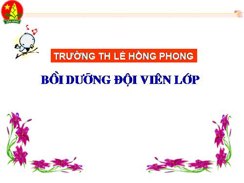 Bồi duơng Đội