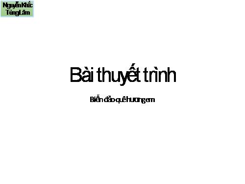 Thuyết trình biển đảo