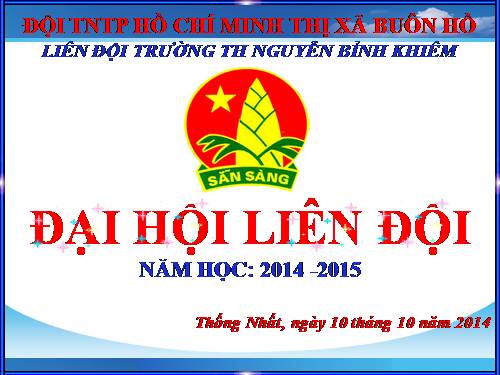 ĐẠI HỘI ĐỘI 2014