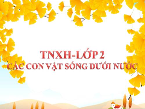 TNXH - Lớp 2 - Các con vật sống dưới nước