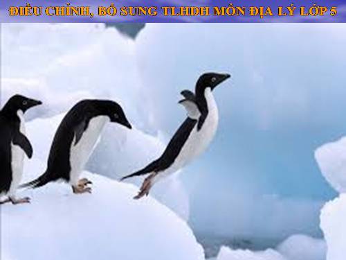 ĐIỀU CHỈNH, BỔ SUNG TLHDH MÔN ĐỊA LÝ LỚP 5-LÊ HỮU TỪ-LẠNG SƠN
