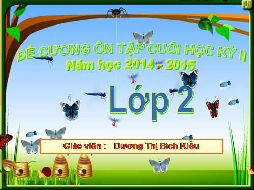 Đề cương ôn tập cuối HK2 lớp 2