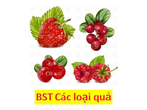 Bo suu tap cac loai qua