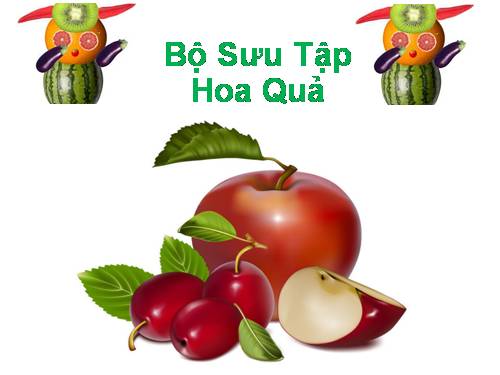 Bộ Sưu Tập HOA QUẢ