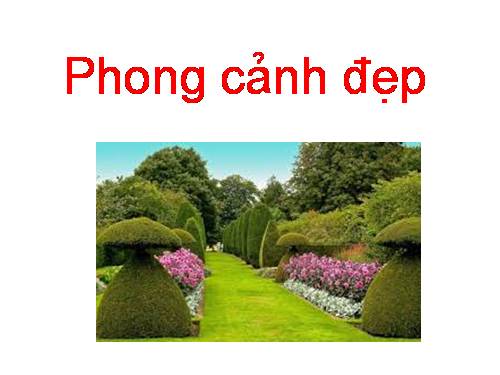 Phong cảnh đẹp soạn giáo án