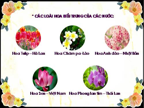 THIẾU NHI THẾ GIỚI LIÊN HOAN - ĐẠO ĐỨC