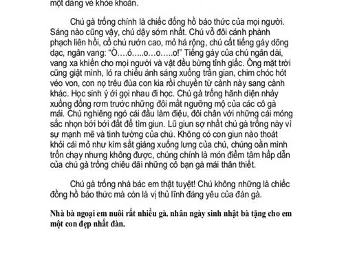 văn tả con gà trống