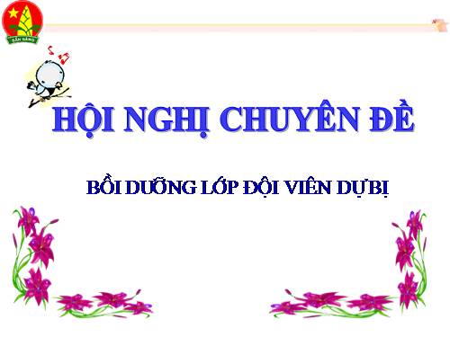 bồi dưỡng kết nạp đội