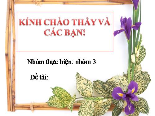 tìm hiểu tổ chức WTO