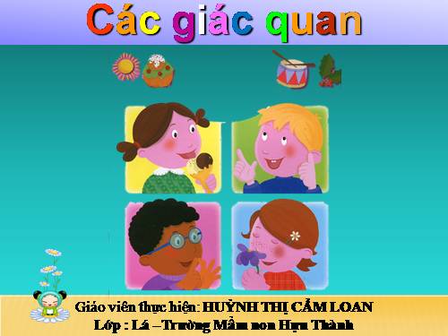 cac giac quan