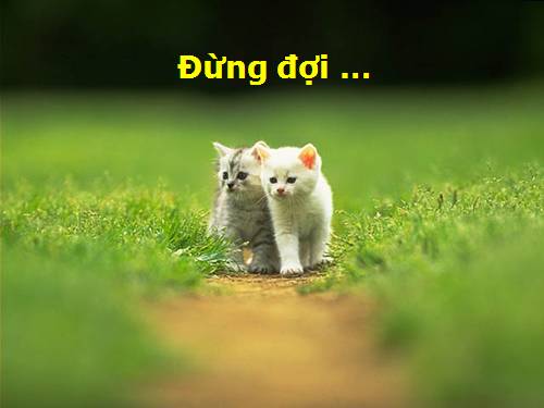 Đừng đợi... Cùng suy ngẫm bạn nhá...