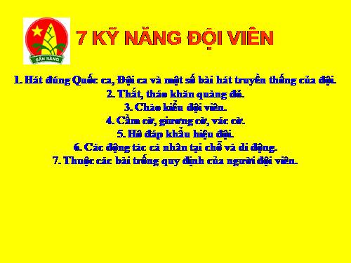 7 kỹ năng đội viên