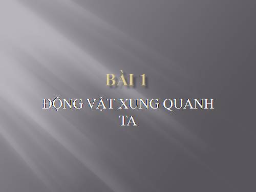 lần đầu làm powerpoint