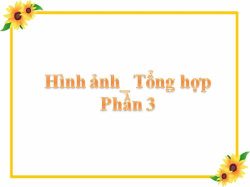 Hình ảnh _Tổng hợp - Phần 3