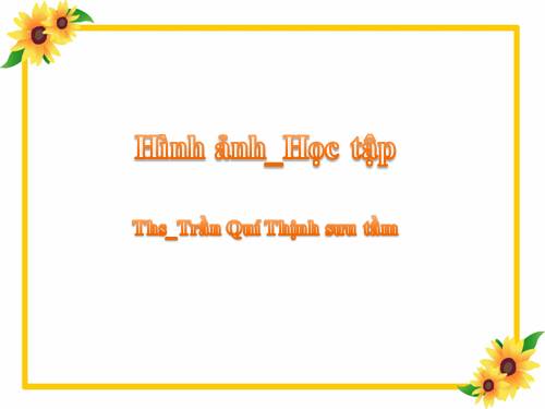 Hình ảnh_Học tập