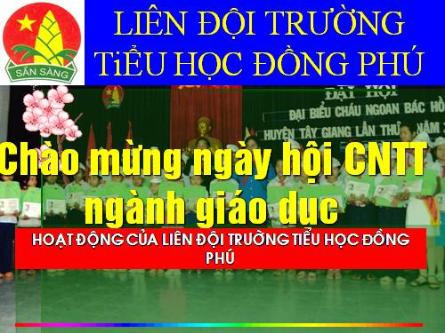 NGHI LỄ ĐỘI TNTP-HCM