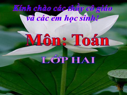 giao an mon ton huynh thi phuong