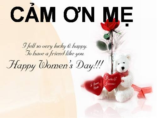 CAM ON MẸ