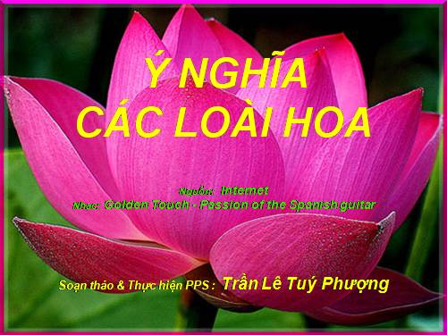 Ý nghĩa của các loài hoa