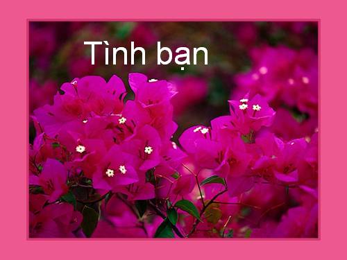 Tình bạn