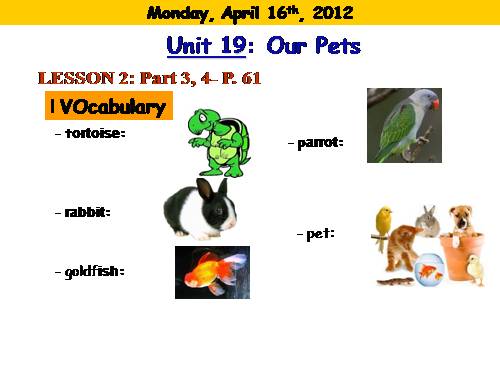 GIAO AN DTGIAO AN DT LỚP3unit19 our pets.ppt